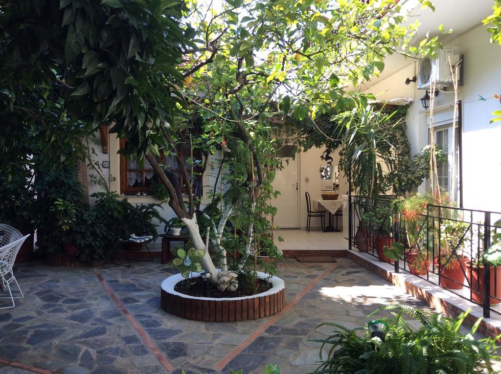 Studios Nopi-Zoi Skiathos Exteriér fotografie