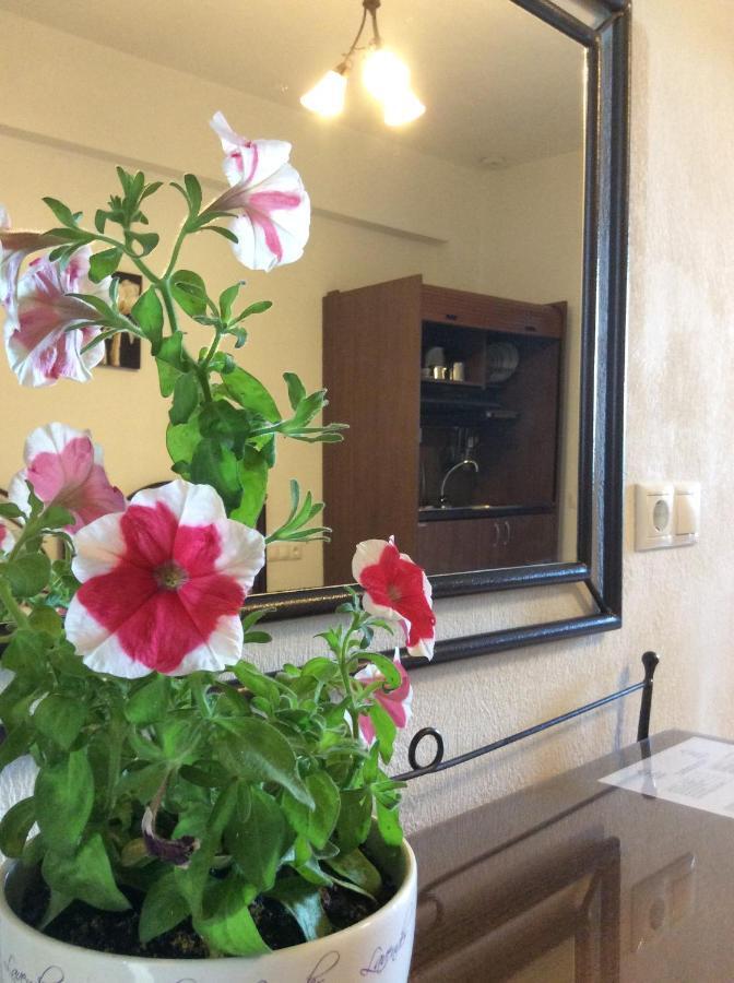 Studios Nopi-Zoi Skiathos Exteriér fotografie
